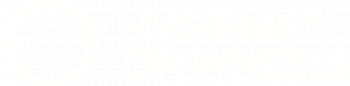 Hygienist on Wheels Logo